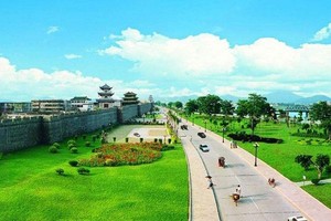 濱江紅棉。（圖源：互聯網）