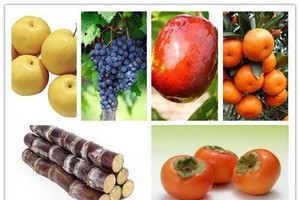 （圖源：互聯網）