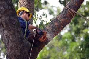 （資料圖源：互聯網）