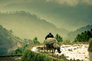 （示意圖源：互聯網）