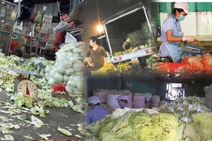 近日各媒體揭發的萬興冬菜事件。（圖源：互聯網）