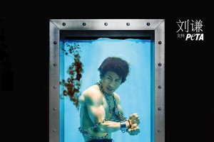 劉謙1分鐘解讀斷翅之痛。（圖源：互聯網）