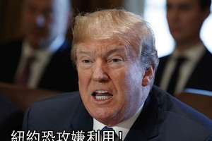 紐約恐襲後特朗普籲廢止“綠卡抽籤”項目。（圖源：互聯網）