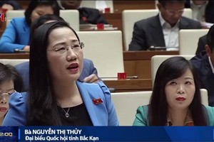 北件省代表、國會司法委員會常務委員阮氏水在會場上發言。（圖源：VTV視頻截圖）