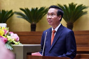 中央宣教部長武文賞在會議上發言。（圖源：N.B）