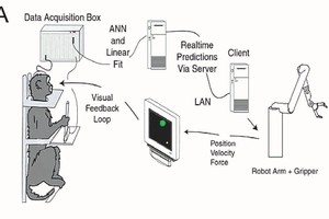 恒河猴使用腦機介面原理圖。