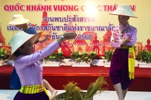 本市大學生表演的文藝節目。