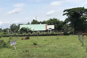 古芝、芽皮、芹耶與平政縣 （鎮除外）的土地最小面積為八十平方米將獲劃分。（示意圖源：互聯網）