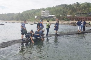遊客在富山護魚區給魚餵食。