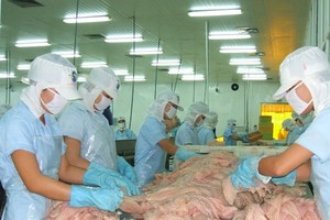 出口市場比較順利，九龍江平原的查魚供應源仍有增加。