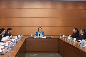 2017-2018年任期亞太議會論壇(APPF)主席阮氏金銀主持了第26屆APPF論壇(APPF-26)的年會籌備工作會議。（圖源：VOV）