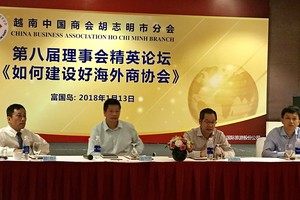 圖為“如何建設好海外商協會”的第八屆理事會精英論壇一瞥。