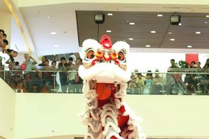 精英堂醒獅上高樁比賽。