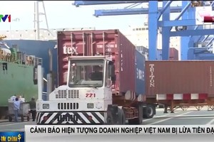 （圖源：VTV視頻截圖）