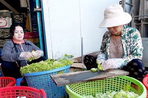 義工們在切菜和瓜果為做飯作好準備。