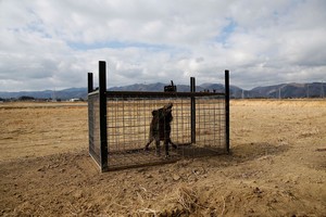 日本福島縣核事故區。（圖源：互聯網）