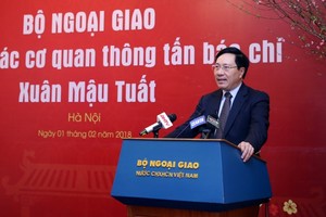 外交部長范平明在會議上發表講話。（圖源：海明）