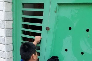 讓孩子參與勞動，培養健全品格。