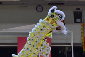 聯義堂表演醒獅上梅花樁。