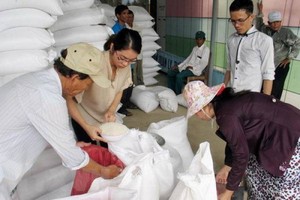 政府總理阮春福最近已責成財政部從國家儲備糧調撥5504.283 噸大米，在2018戊戌年春節賑濟民眾。（示意圖源：互聯網）