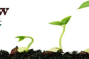 （示意圖源：互聯網）