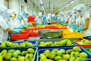 累計今年前兩個月，果蔬出口額達7億3750萬美元，同比增5.2%。（示意圖源：互聯網）