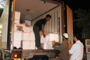 運送未經檢疫蝦苗的卡車被突擊檢查。（圖源：HH）