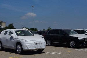 一批43輛瑞典豪華汽車已抵達協福港，但由於116號《議定》的羈絆，因此未能通關。（圖源：如萍）