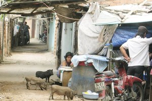 新順公司的平盛郡第十三坊居民區-貿易中心-辦公大樓項目已擱置上10年。