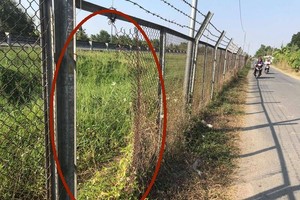 交通安全的本市-忠良高速公路安全護欄，最近有許多段遭嚴重破壞。（圖源：山林）