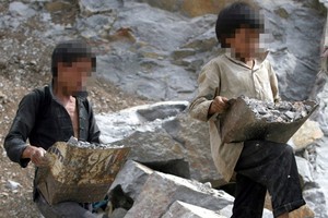 大多數童工生活在農村地區。