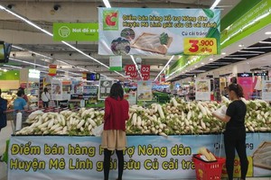 河內市麋冷Big C超市擺攤銷售的白蘿蔔。（圖源：秋娥）