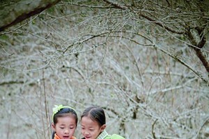 我喜歡學習。（示意圖源：互聯網）