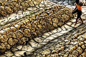 土地退化威脅 32 億人生計。（示意圖源：互聯網）