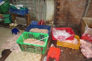 市食品安全管委會檢查團突擊檢查阿廣生產單位時發現來源不明且散發臭味的豬雜現場一瞥。（圖源：PV）