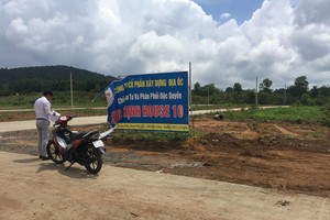 繞洋東市鎮沿路掛牌出售的劃分地皮。（圖源：N.Triều）