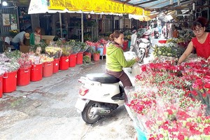 各花店霸佔胡氏紀街和黎鴻鋒 公寓附近的各條巷子。