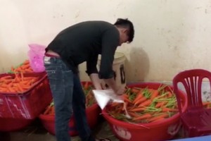 工人正在使用漂白劑放進胡蘿蔔盆裡。（圖源：視頻截圖）