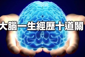 （示意圖源：互聯網）