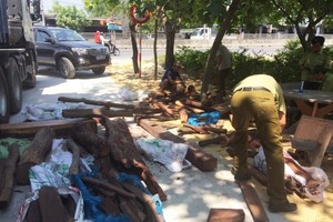 被扣押的來源不明之紅酸枝。（圖源：三清）