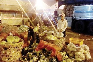 集散市場商販粗加工農產品，既造成環境污染又增加開支。