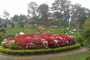 大勒是國內遊客選擇的第二大景點。