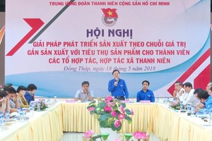 共青團中央常務書記阮英俊在會議上發表講話。