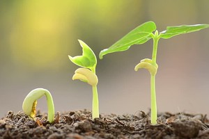 （示意圖源：互聯網）