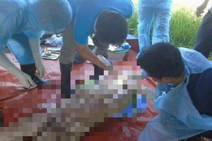 驗屍現場一瞥。（圖源：光峰）