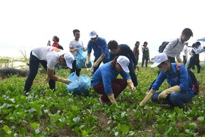 共青團員與青年在沿海收拾垃圾。