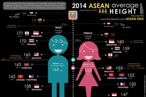 東南亞各國成年男性/女性的平均身高。（圖源：Asean DNA）