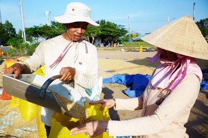 安江省農民豐收。