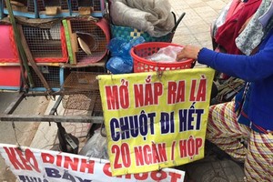 滅鼠劑在本市的多條街上都有售賣。