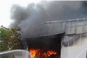 消防隊聞訊後趕抵現場奮勇滅火。（圖源：越南快訊）